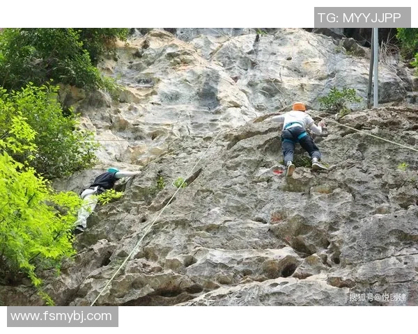 广州攀岩队团队协作引发热议背后的争议与思考